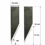 Ronchini-RM-01039894